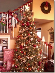 Christmas Tree 2011